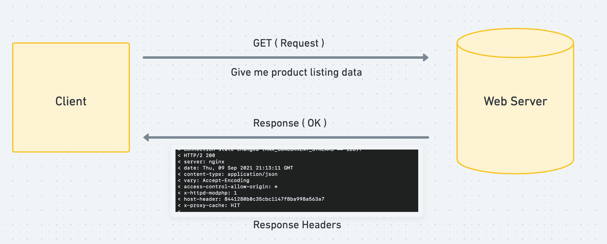 Request, Response, Endpoint, Query Parameters